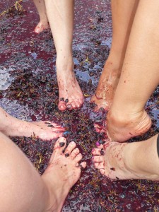Grape Stomps are coming to Temecula wineries in the next few weeks. Courtesy photo