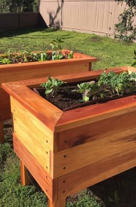 An example of raised garden beds created by Ecology Artisans. Courtesy photo